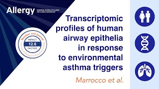 Transcriptomic profiles of human airway epithelia in response to environmental asthma triggers [upl. by Naesyar]