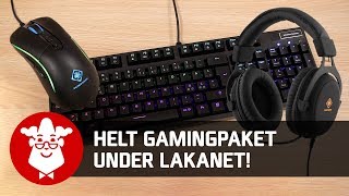 Vi tar en snabbtitt på gamingtillbehör från Deltaco Gaming [upl. by Rexford183]