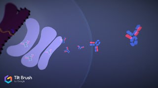 Bioproduction dun anticorps monoclonal [upl. by Eedebez]