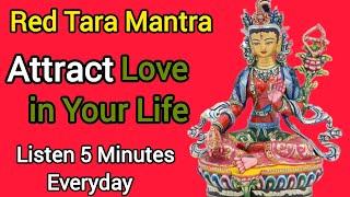 नामुमकिन को भी मुमकिन करने वाली RED TARA MAA  सबसे जल्दी जोड़ देती है टूटे रिश्तों को ll [upl. by Clea173]