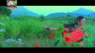 Pabana re Pabana Oriya track Babu I Love U [upl. by Aciria206]