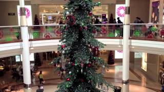 Massive Christmas Tree Chadstone Shopping Centre November 2012 [upl. by Itida]