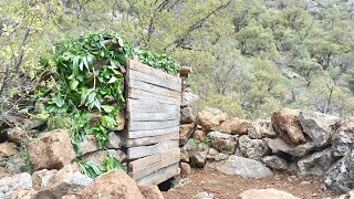 A shelter for survival in the wild nature of Zagros [upl. by Ecniv]