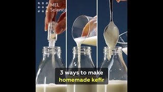 3 ways to make homemade kefir [upl. by Acirrehs]