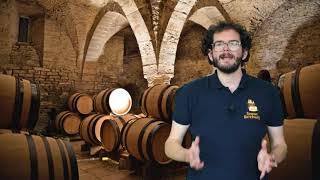 Virtual Tour of Beaune The Wine Capital of Burgundy Part 2 [upl. by Greeson649]