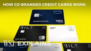 Why Banks Bet Big on Risky Credit Card Partnerships  WSJ [upl. by Gala]