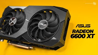 Way too expensive or right on the money ASUS Dual Radeon RX 6600 XT OC Edition [upl. by Ebner]