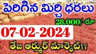 07022024 గుంటూరు మిర్చి మార్కేట్ ధర  Today MirchiRates In market  Mirchi Rate Increase [upl. by Ecille]