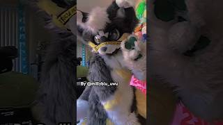 I love this song By Millybluuwu furry furries fursuit viral tiktok fyp shorts [upl. by Enovi76]