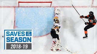 Best Saves of the 201819 NHL Season [upl. by Enyalahs]