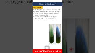 Citrate utilization test Biochemical tests  Microbiology  by ImranY aseen [upl. by Ynnaffit]