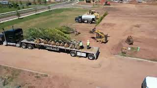 Tree truck offload with Hyperlapse [upl. by Ennalorac]