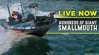 Pro Dropshot Bass Fishing Secrets How to Catch Giant St Lawrence amp Champlain Smallmouth [upl. by Templa417]