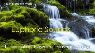 The Healing Power of Flowing Water  1 hour healing ambient music [upl. by Bravin811]