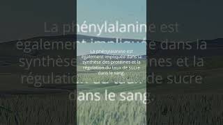 Phénylalanine acide aminé essentiel [upl. by Akehsyt]