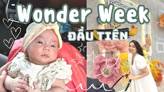 Cách Xử Lý Wonder Week Của Ba Mẹ Đã Có Kinh Nghiệm🤭Wonder Week Đầu Tiên Của Em Bé❤️ TrinhPhamFamily [upl. by Lila]