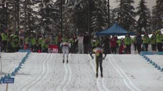 Nordic Skiing Technique  Double Poling [upl. by Assennev67]