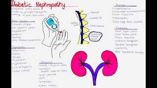 Diabetic Nephropathy  phases risk factors symptoms diagnosis treatment [upl. by Dalury]