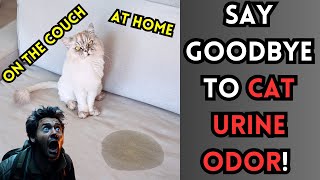 HOW TO REMOVE CAT URINE ODOR FROM YOUR HOME🐱 [upl. by Valerie]