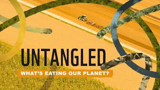 Untangled Whats eating our planet [upl. by Ennovi]