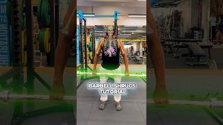 Barbell Shrugs tutorial exercise tutorial [upl. by Scotti]