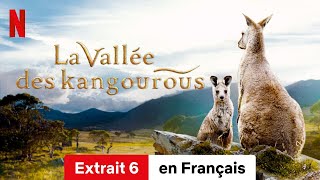 La Vallée des kangourous Extrait 6  BandeAnnonce en Français  Netflix [upl. by Malloy]