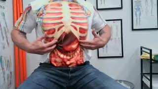 Diaphragm Muscle Self Release for Tension [upl. by Dnaltroc836]