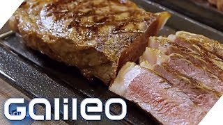 SousVide für zu Hause Edelsteak dank neuer KochMethode  Galileo  ProSieben [upl. by Noramac]