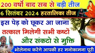 6 सितंबर हरतालिका तीज के दिन इस पेड़ को चुपचाप छू कर आ जाना जो चाहेंगे वो मिलेगा haritalikateej [upl. by Ijar160]