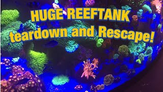 HUGE REEFTANK AQUARIUM tear down and RESCAPE [upl. by Anes]