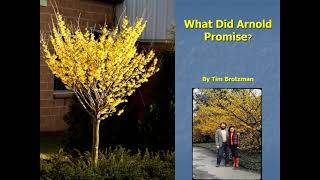 quotWhat Did Arnold Promisequot Hamamelis by Tim Brotzman [upl. by Ahras730]