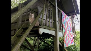 The Third and Final Part of the Kaffe Fassett Trip Around the World Quilt [upl. by Wyly]