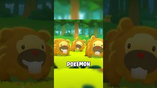 Why Is Bidoof So Popular pokemon shorts [upl. by Amapuna88]