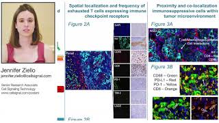 Highly Multiplexed IHC Assays to Examine Immune Checkpoints and Biomarkers for Immunotherapy [upl. by Bettye]