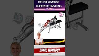 Bench Reverse Hyperextensions workout kegelexercises spine sports hipmuscles stretching [upl. by Nathan]