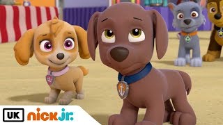 Paw Patrol  Best Friends Skye amp Zuma  Nick Jr UK [upl. by Akital849]