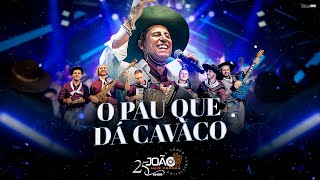 O Pau Que Dá Cavaco  João Luiz Corrêa amp Grupo Campeirismo  DVD 25 anos de Carreira 4k 2024 [upl. by Aiclef]