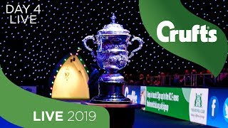 Day 4 LIVE  Crufts 2019 [upl. by Annnora289]