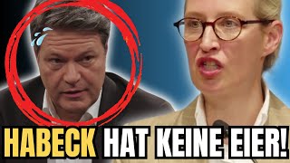 💥 Habeck hat keine Eier 💥 Alice Weidel MEGA Deutschlandrede in Heilbronn 🔥 23032024 [upl. by Priestley]