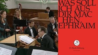 JS Bach  Aria quotGerechter Gott ach rechnest duquot from Cantata BWV 89 [upl. by Chrystal]