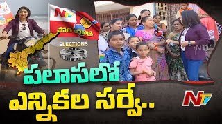 Poll Yatra Voice Of Common Man  AP 2019 Election Survey From Palasa  NTV Special [upl. by Jelena499]