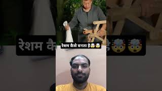 रेशम कैसे बनता है🤯🤯 handmade agriculture agricultura farming villege science viralvideo [upl. by Mae265]