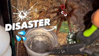 WATERING my TARANTULAS at night  GONE WRONG  “Part 12 ” [upl. by Bonnette318]