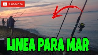 ✅ cómo armar LINEA de pesca para MAR➡️ linea de pesca básica [upl. by Ettenahs589]