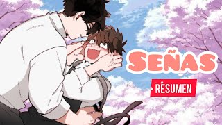 🌺SEÑAS🌺 Resumen COMPLETO  All With Noelle [upl. by Yespmed]