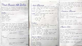 Major plant hormones and their functions phytohormones Insidelearning [upl. by Enrika]