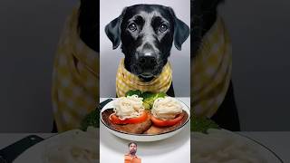 dog mukbang eating eatingsounds eatingshow food labrador funny comedy [upl. by Llibyc]