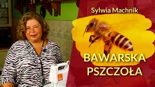 Ciasto Bawarska Pszczoła czyli migdałowy Bienenstich [upl. by Nelhsa285]