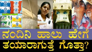 ಮಾಮೂಲಿ ಹಾಲಿಗೂ ಇದಕ್ಕೂ ಏನು ವ್ಯತ್ಯಾಸ How is Nandini milk produced  Nandini Milk vs Raw Milk  KMF [upl. by Anuait196]