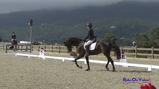 214D Helen Alliston on Ex Farytale Open Novice Dressage Woodside May 2024 [upl. by Tigges]